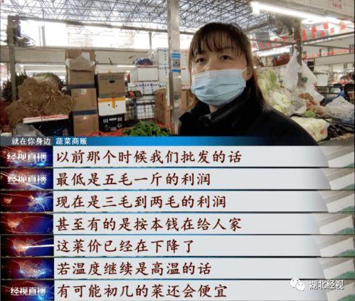 武汉菜价爆料视频大全集,揭秘菜市场价格波动背后的秘密 第2张 武汉菜价爆料视频大全集,揭秘菜市场价格波动背后的秘密 第2张
